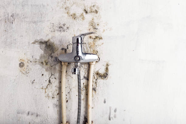 Guin, AL Mold Removal Company