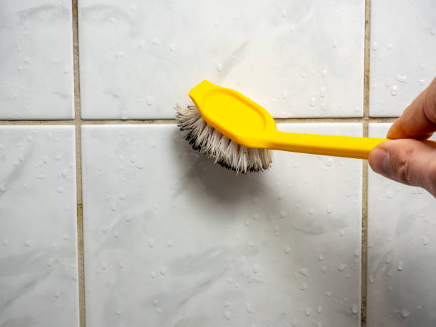 Best Mold Testing and Removal  in Guin, AL