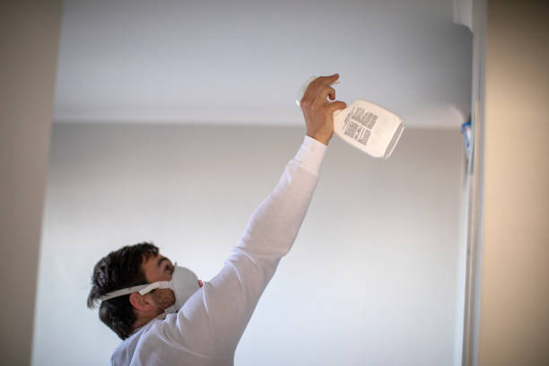 Best Certified Mold Removal  in Guin, AL