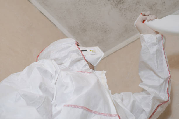 Best Mold Removal Process  in Guin, AL