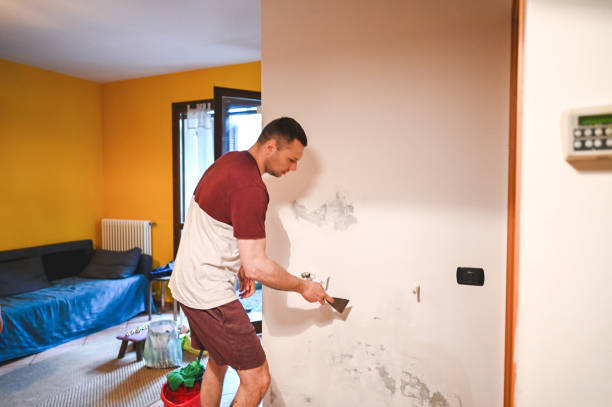 Best Mold Remediation  in Guin, AL