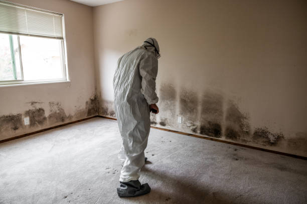 Best Professional Mold Removal  in Guin, AL