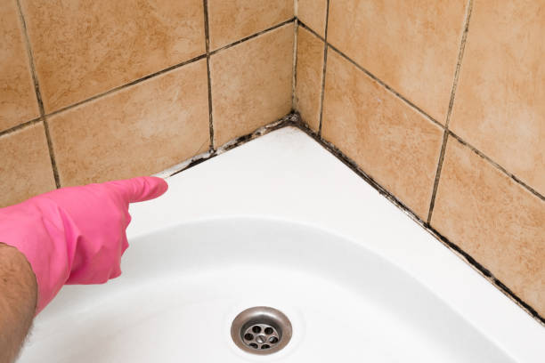 Best Mold Testing  in Guin, AL
